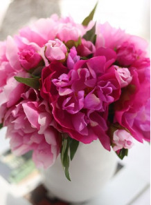 PaeoniaPreserve™ (สารกันเสียจาก Paeonia Extract)