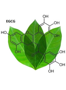  Pure-EGCG™ (Green Tea Extract, 98% EGCG)