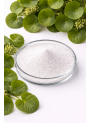 Centella Asiatica Extract (Madecassoside 90%)