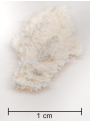 Hydrolyzed Silk Protein (Sericin, Powder, High Nitrogen)