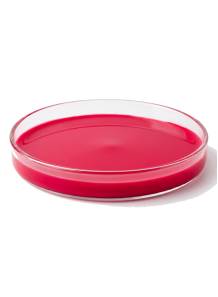 WaterMix™ Red No.21 Al Lake