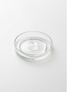 Copolymer 845 (VP/Dimethylaminoethylmethacrylate Copolymer)