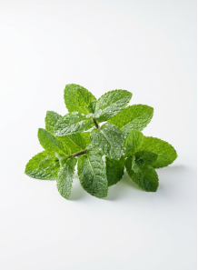 Menthol Flavor (Water Soluble Powder)
