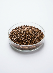 Cassia Seed