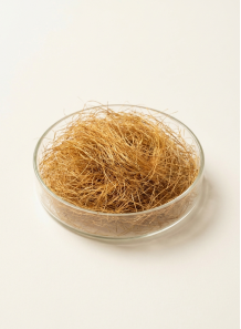 Corn Silk