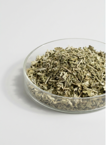 Mugwort Leaves