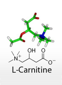 L-Carnitine     -  MySkinRecipes