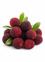 Bayberry Flavor (Water Soluble Powder)