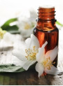 Jasmine Vanilla (Bath & Body Works)
