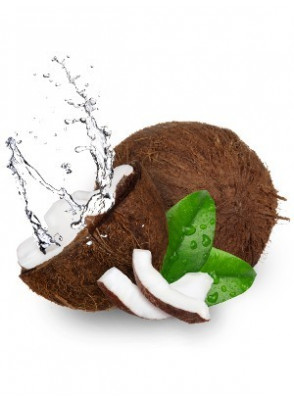 Exotic Coconut (Compare to Bath & Body)