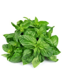  Sweet Basil Oil