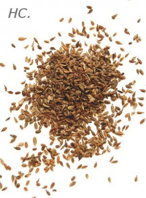 Carrot Seed Oil (High Carotol)