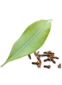  Clove Leaf Oil