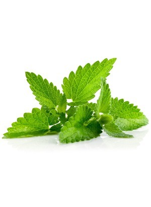 Corn Mint Oil (Leaf)