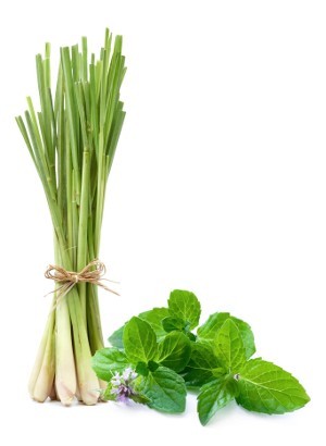 Lemongrass (Cymbopogon Flexuosus) Oil