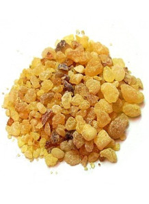 Olibanum (Frankincense) Oil