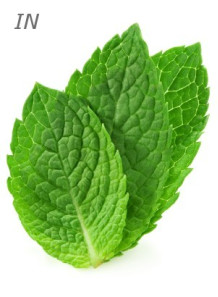 Peppermint Oil (Essential...