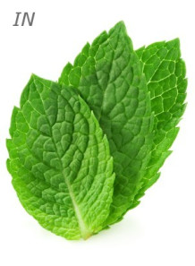  Peppermint Oil (Essential Oil, Cosmetics Grade)