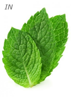 Peppermint Oil (Essential Oil, Cosmetics Grade)