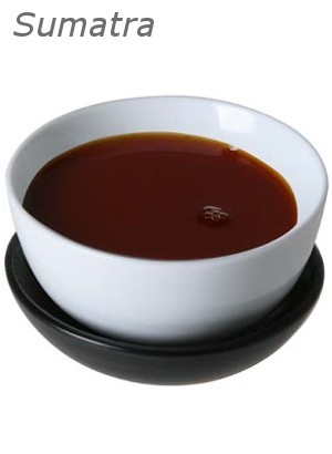 Benzoin Resinoid (Sumatra)