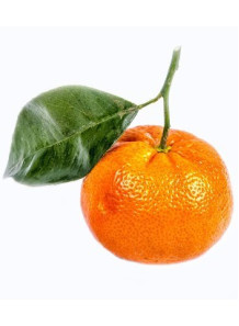 Tangerine Oil (India, Bland)