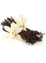 Vanilla Essential Oil (Reconstituted, High Natural Content)
