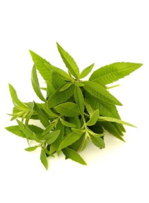 Lemon Verbena Oil