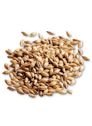 Malt Extract (เพื่อให้กลิ่น)