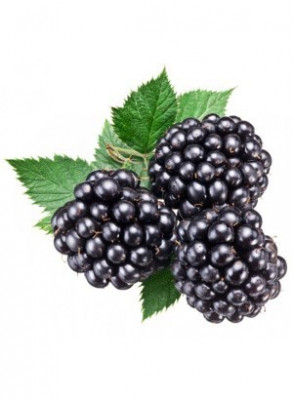 Dewberry Fruits