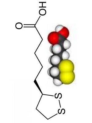 Alpha Lipoic Acid (ALA) (Powder)