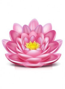 Happy Lotus