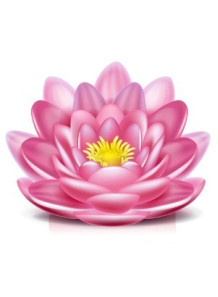 Happy Lotus