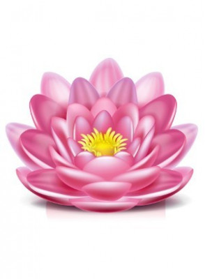 Happy Lotus