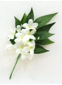 Jasmine Fragrance Oil