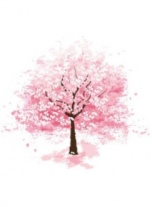 Sakura