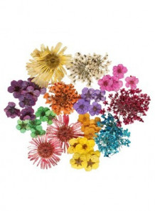 Turkish Dried Flower