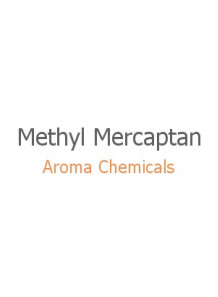 Methyl Mercaptan
