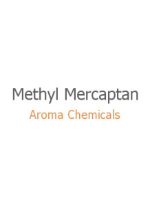 Methyl Mercaptan