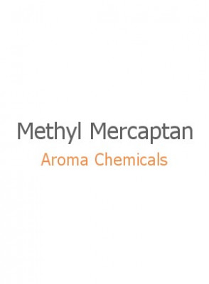 Methyl Mercaptan