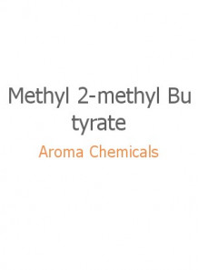 Methyl 2-methyl Butyrate