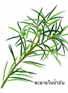 Tea Tree Oil (Australian - Oil Soluble)