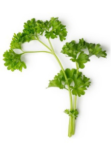 Parsley Lover