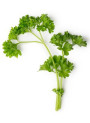Parsley Lover