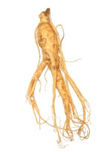  Ginseng (Fragrance Oil)