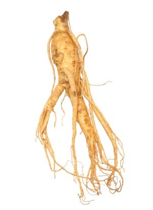 Ginseng (Fragrance Oil)