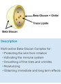 Beta Glucan (Saccharomyces cerevisiae﻿ extract)
