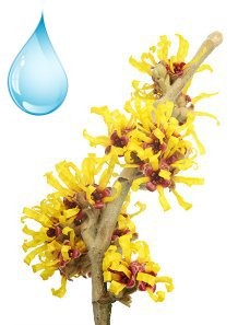 Witch Hazel Alcohol-Free Toner