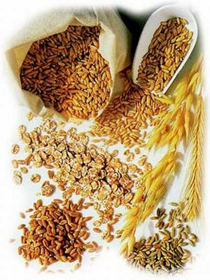 Hydro Protein (Soy, Oat, Wheat, Maize Protein)