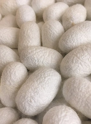 Silk Cream Maker™