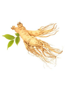 Ginseng Flavor (Water-Soluble)